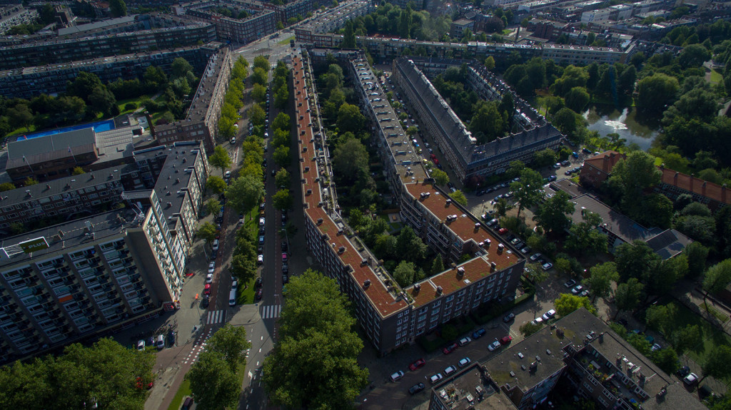 Rotterdam Stadhoudersweg Daktuinen in Rotterdam e.o.